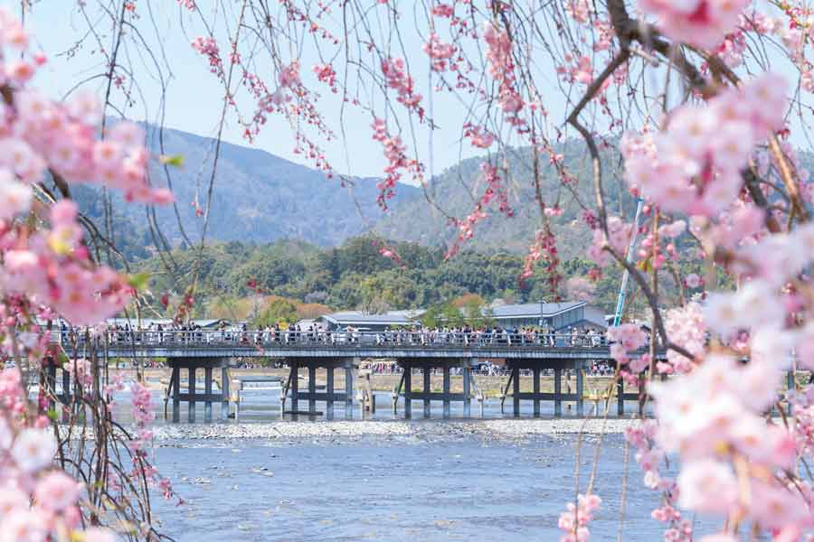 年 穴場スポットも 阪急京都線の桜 お花見スポット17選 Tokk トック えき まち くらし 阪急沿線おでかけ情報