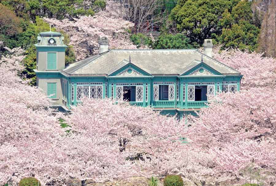 年 兵庫 阪急神戸線沿線のお花見 桜の名所10スポット Tokk トック えき まち くらし 阪急沿線おでかけ情報