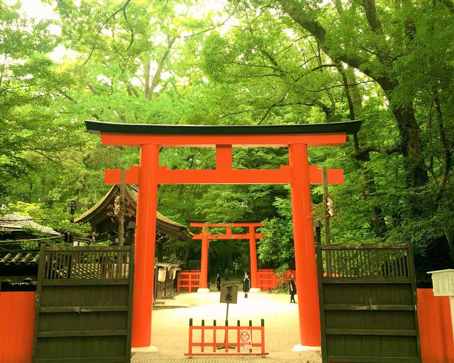 レンタサイクルを使って下鴨神社、上賀茂神社を1日でまわる方法｜TOKK 