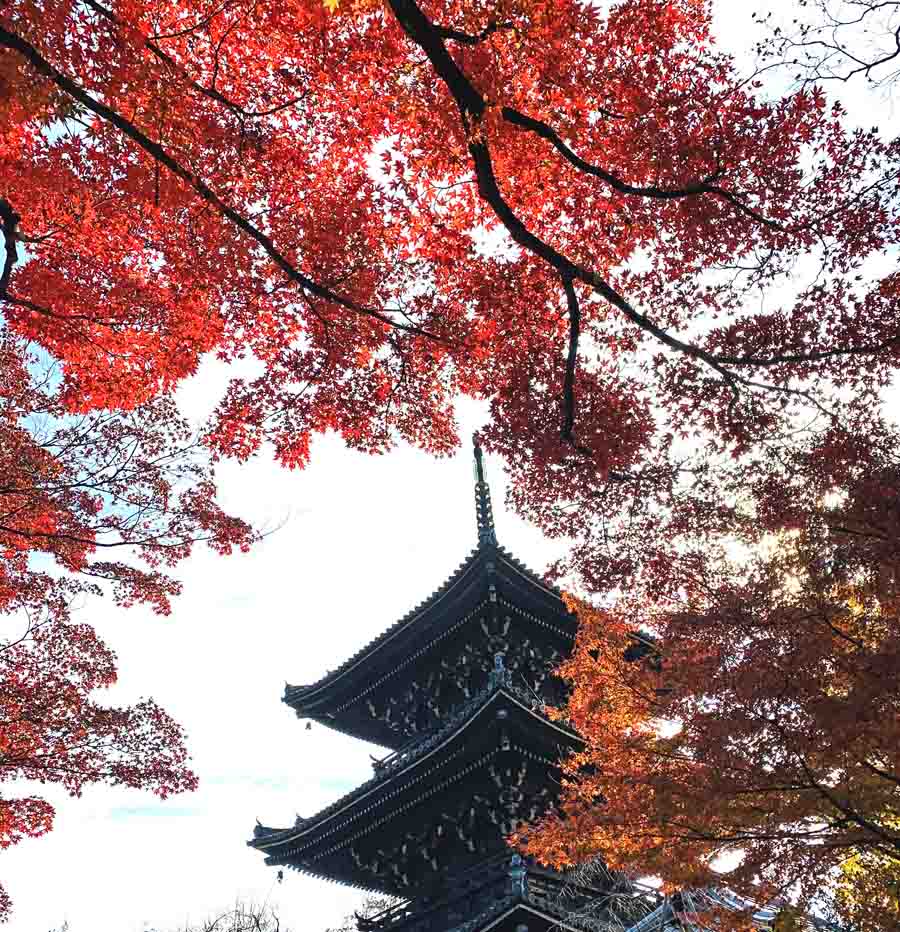秋の真如堂