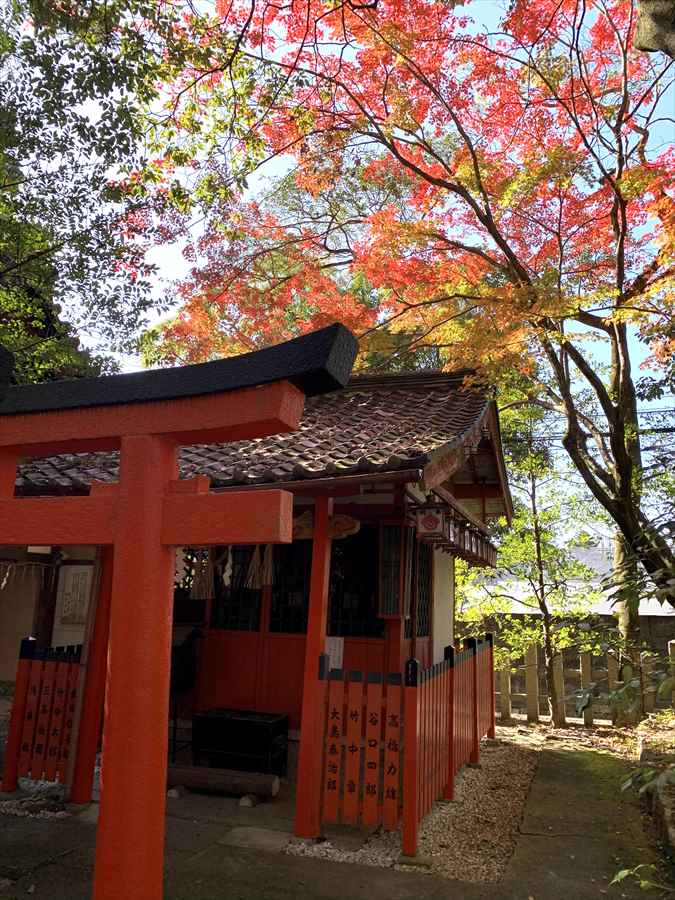 岡崎神社境内の紅葉