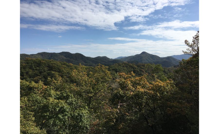 兵庫県立宝塚西谷の森公園の展望台からの眺め