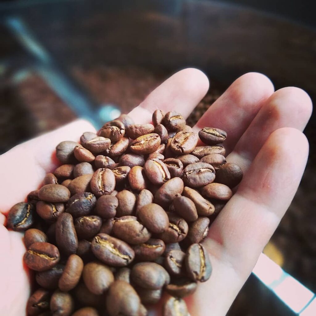 FIFTEEN COFFEE ROASTERSの焙煎したコーヒー豆