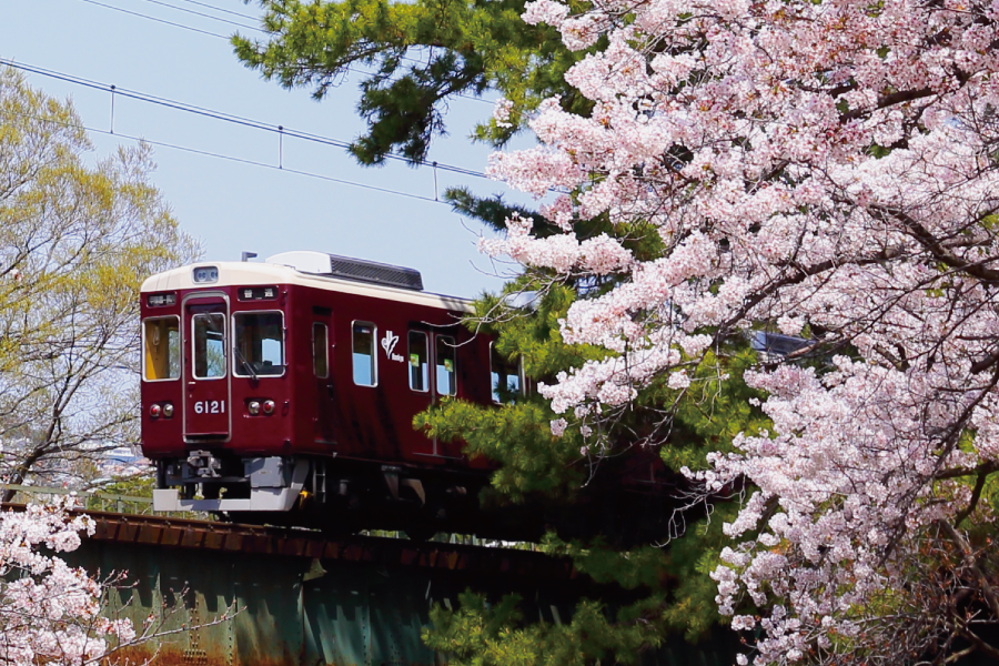 阪急電車と桜 マルーンとピンクの春景色が見られるスポット Tokk22年3月号 Tokk トック えき まち くらし 阪急沿線おでかけ情報