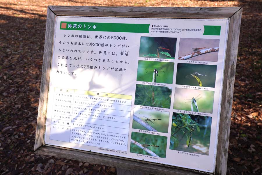 京都御苑のトンボの案内板
