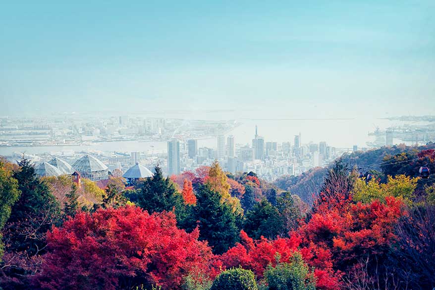 神戸布引ハーブ園から望む紅葉と神戸の街