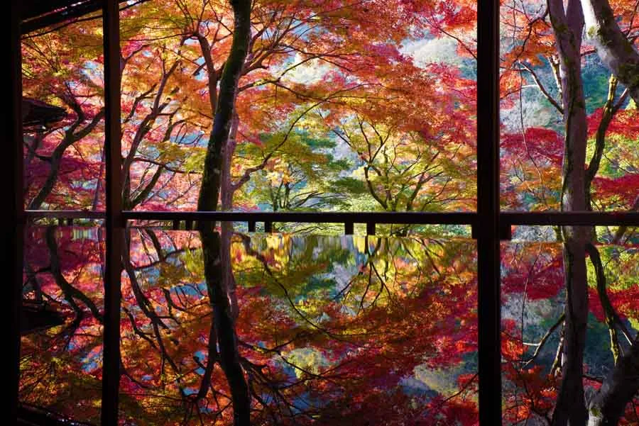 嵐山祐斎亭の秋の風景