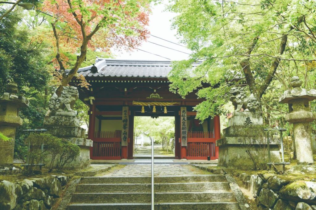 青紅葉が美しい寺の門