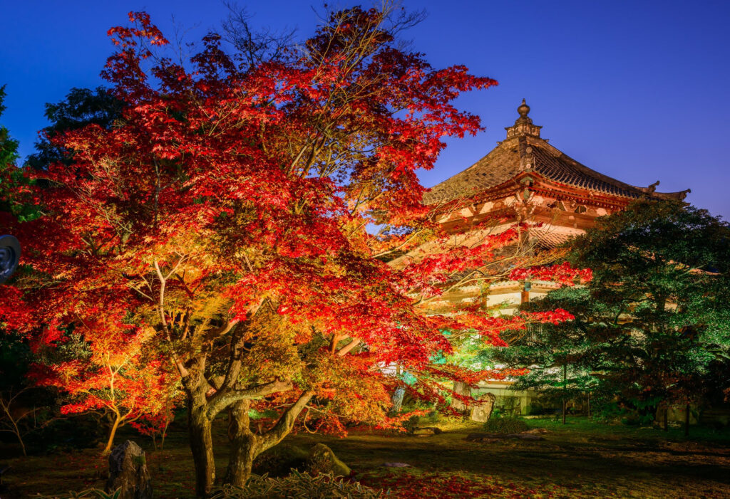 京都嵐山「鹿王院夜の特別拝観2023」