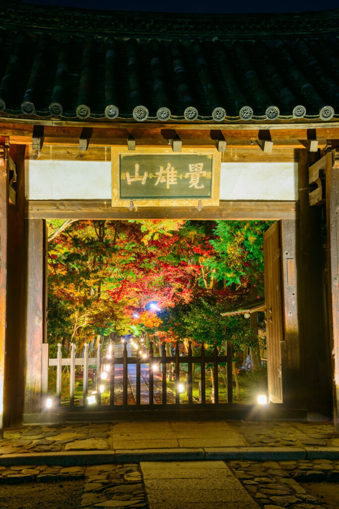 京都嵐山「鹿王院夜の特別拝観2023」