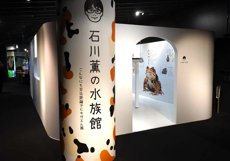 京都水族館の企画展示