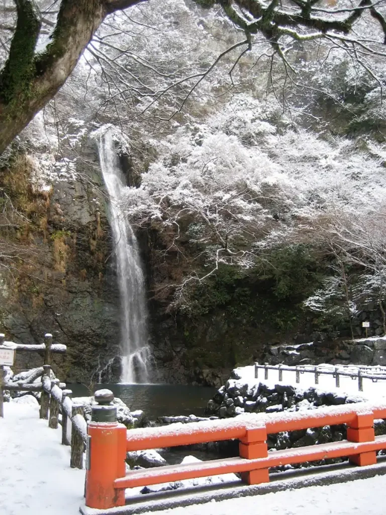 雪で覆われた箕面の滝