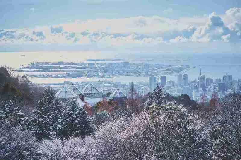 布引ハーブ園から見下ろす神戸の風景