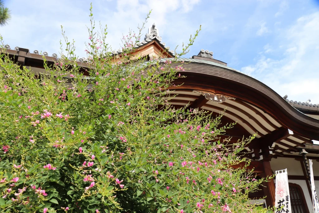 萩の寺東光院　本堂