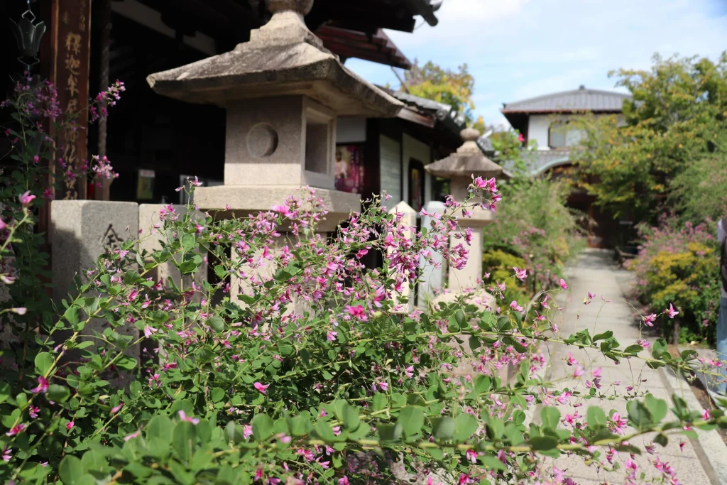 萩の寺東光院　参道