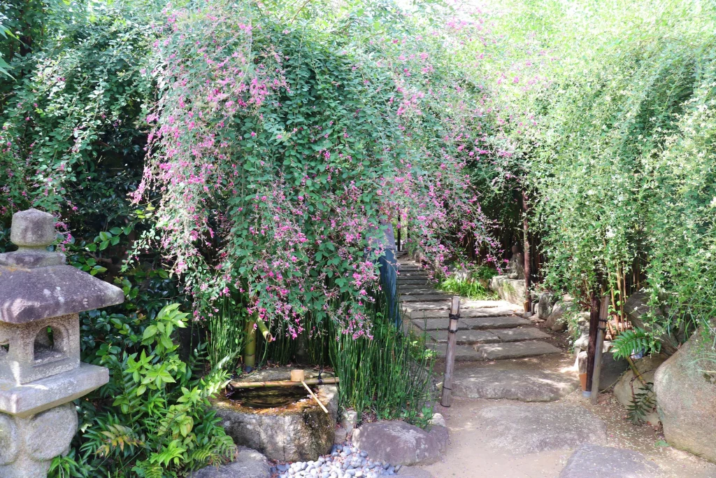 萩の寺東光院　萩露園