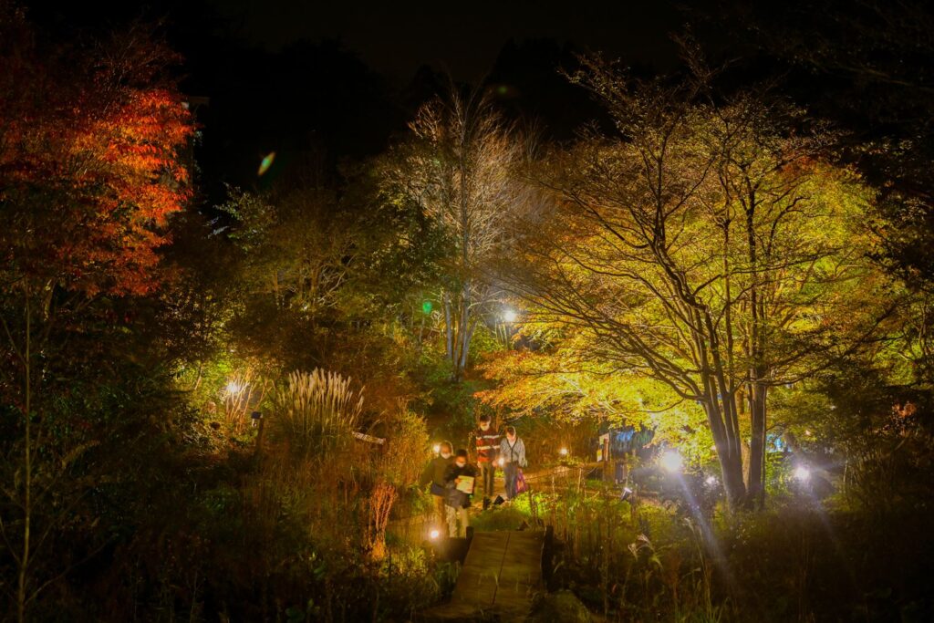 六甲高山植物園の紅葉