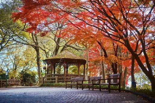 神戸布引ハーブ園／ロープウェイ