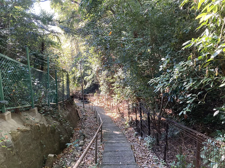 森の中を進む垂水神社の裏参道