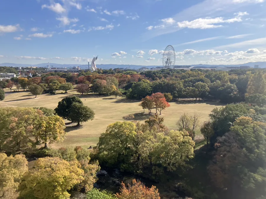 天空回廊から眺める紅葉した万博記念公園