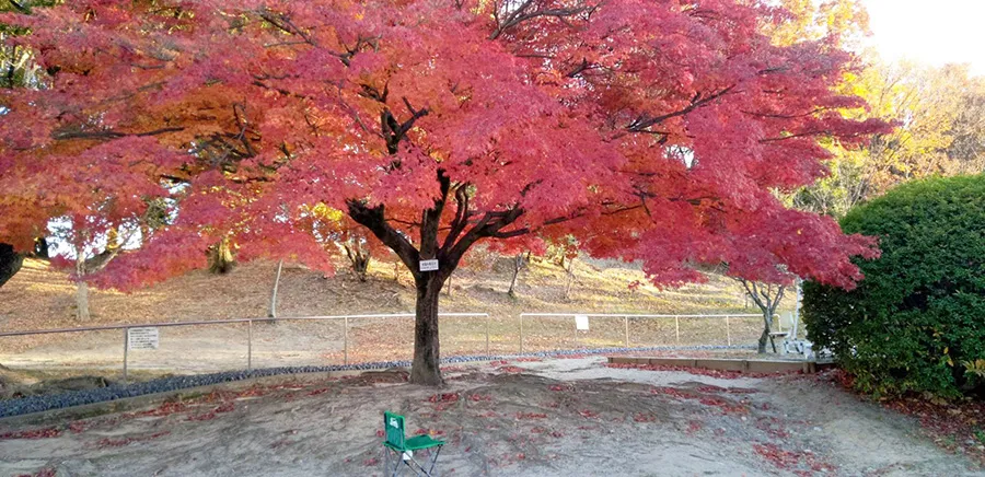 千里南公園