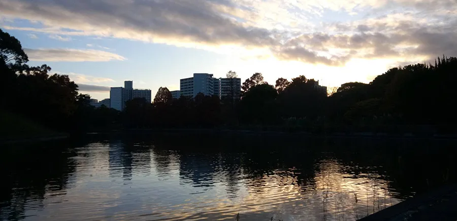 千里南公園牛が首池