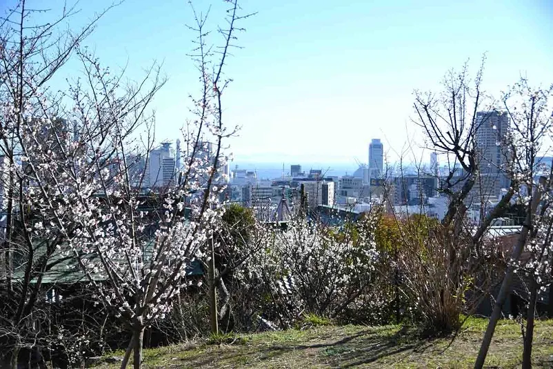 北野天満神社　梅園からの見晴らし