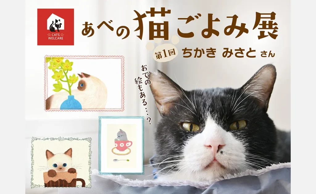 ホーリーハウス 保護猫 アート