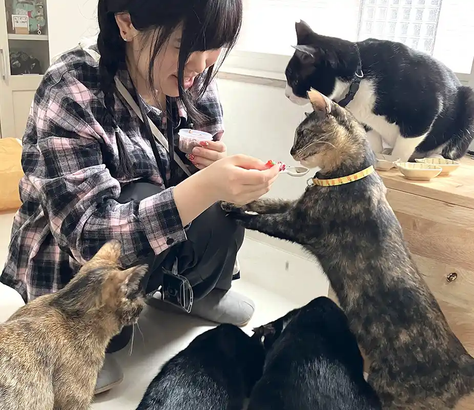 あべの猫ごよみ展 第3弾