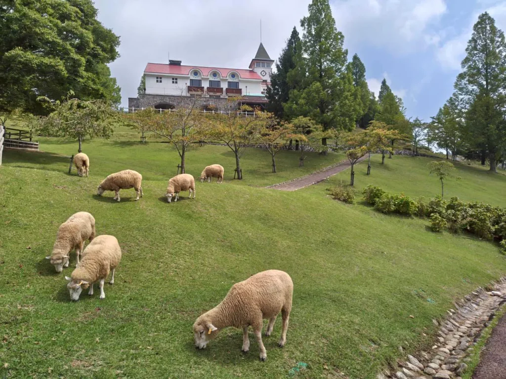六甲山牧場