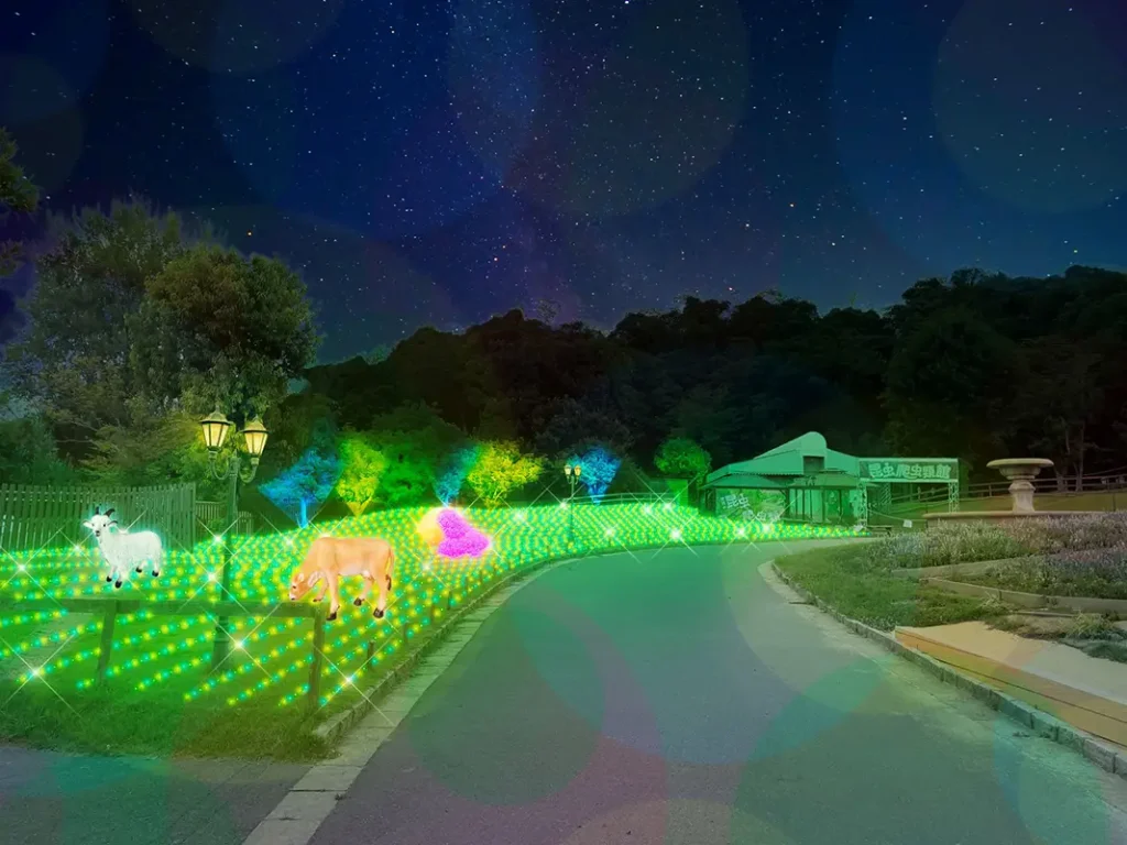 Wonder Night Hill 2025　ハーベストの丘