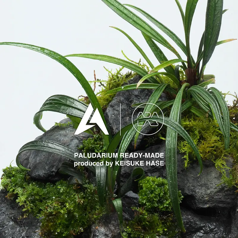 阪急うめだ本店 URBAN JUNGLE WEEKS