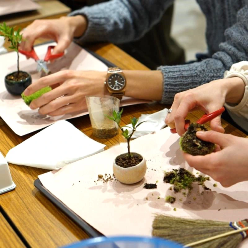 阪急うめだ本店 URBAN JUNGLE WEEKS